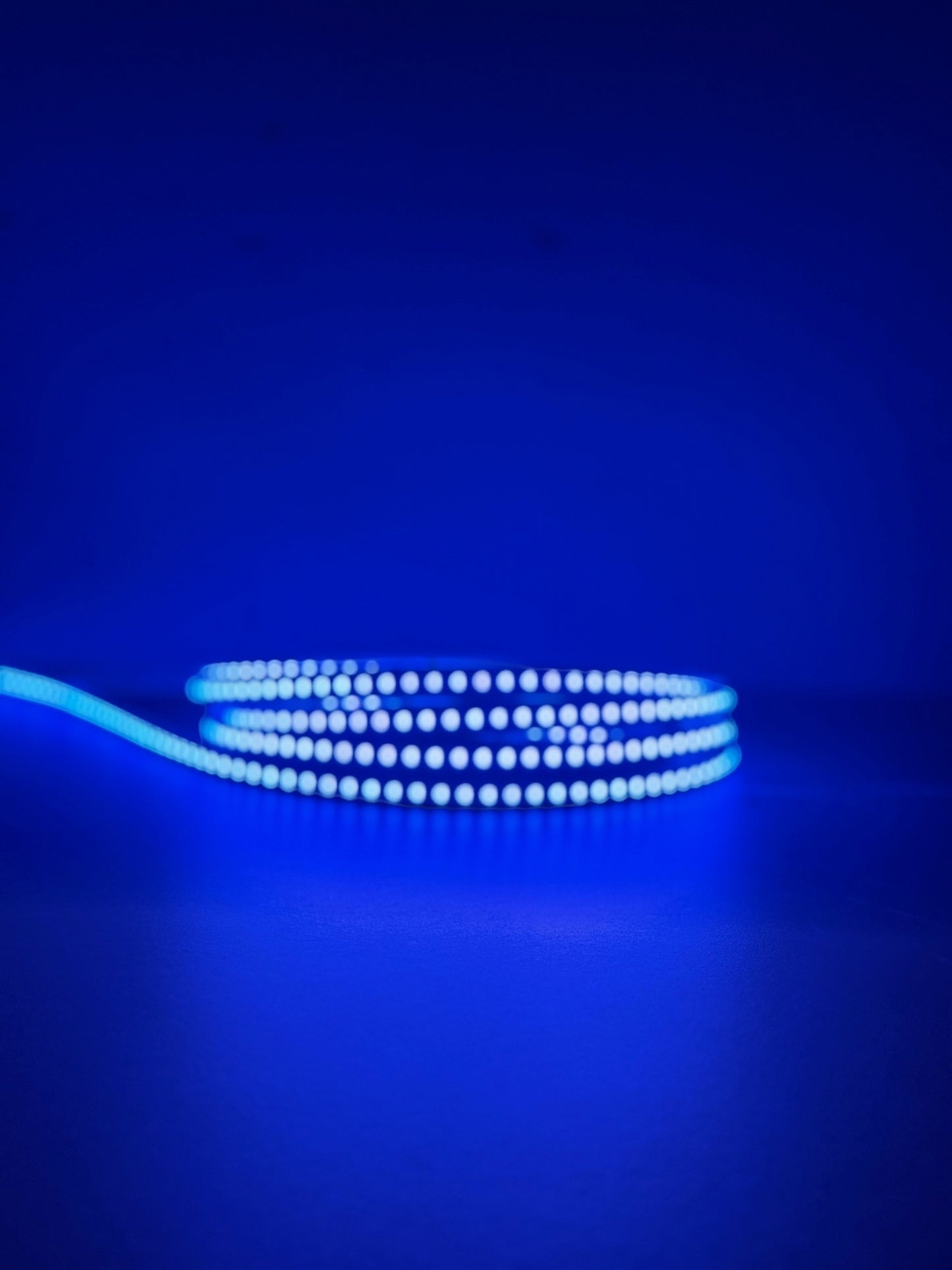 Colours Range 24V 20W RGB+2700K High Density (10mm Wide)